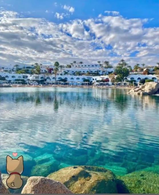 DOMINA CORAL BAY, SHARM ELSHEIKH